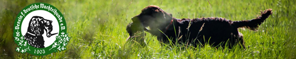 24_Banner